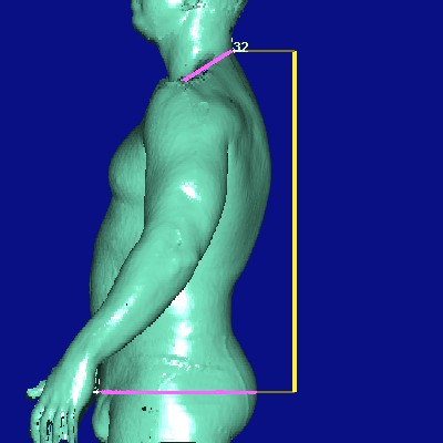 show measurement