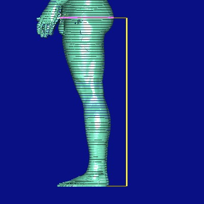 show measurement