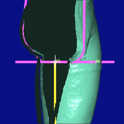 show measurement