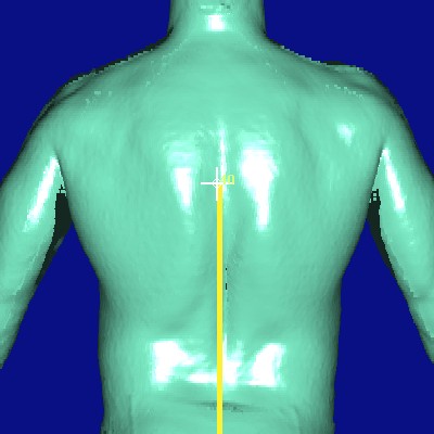 show measurement