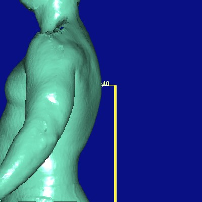 show measurement