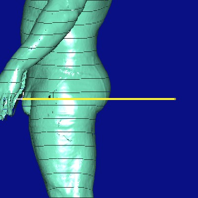 show measurement