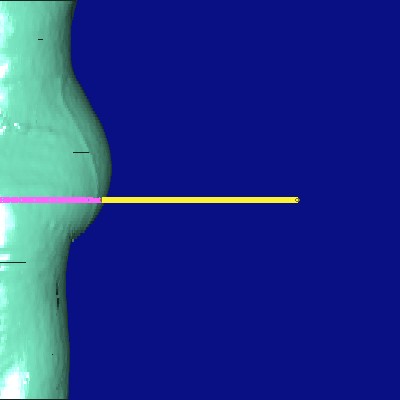 show measurement