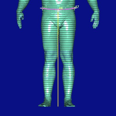 show measurement