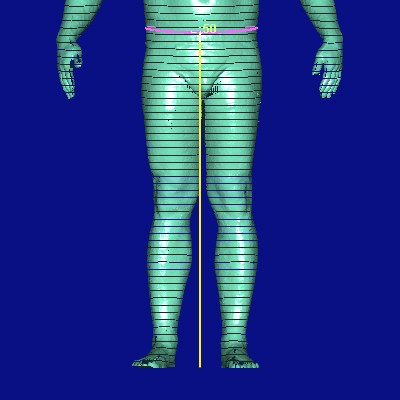 show measurement