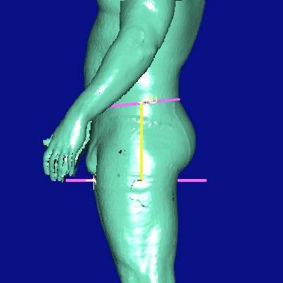 show measurement