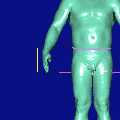 show measurement