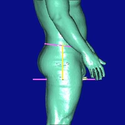 show measurement