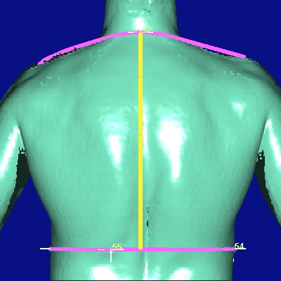 show measurement