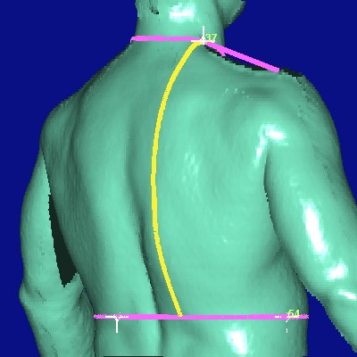 show measurement