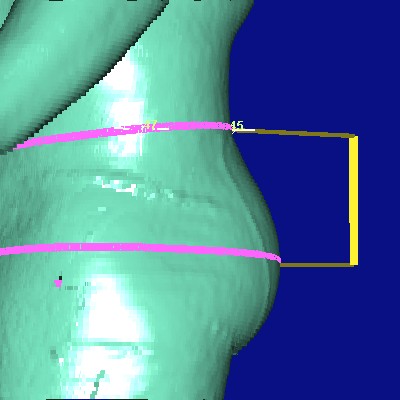 show measurement