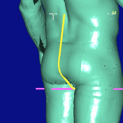 show measurement