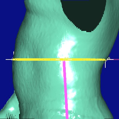 show measurement