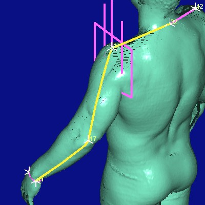 show measurement