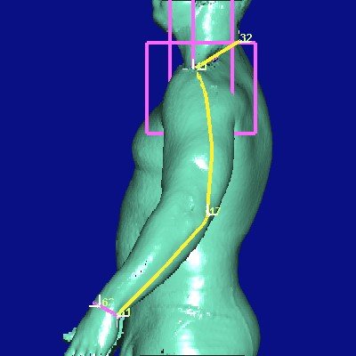 show measurement