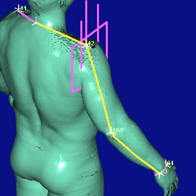 show measurement