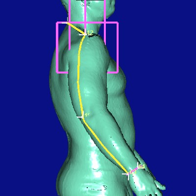 show measurement