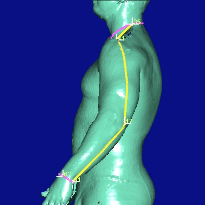 show measurement