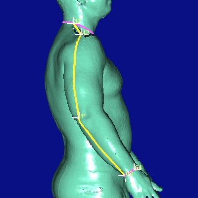 show measurement