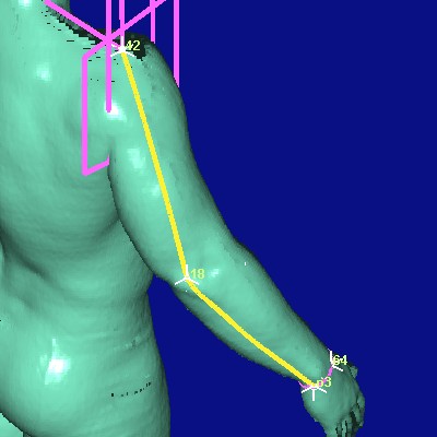 show measurement