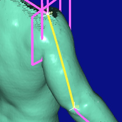 show measurement