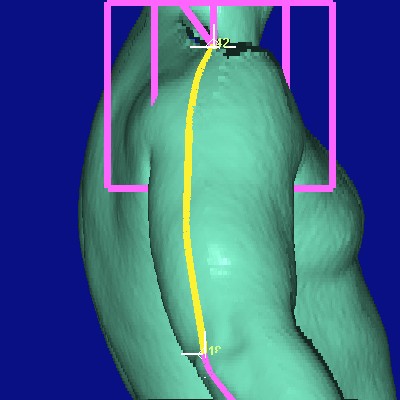 show measurement