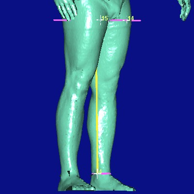 show measurement