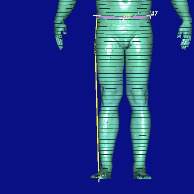 show measurement