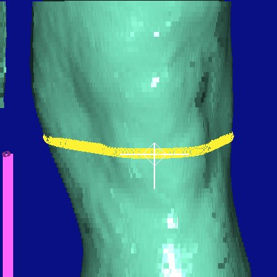 show measurement