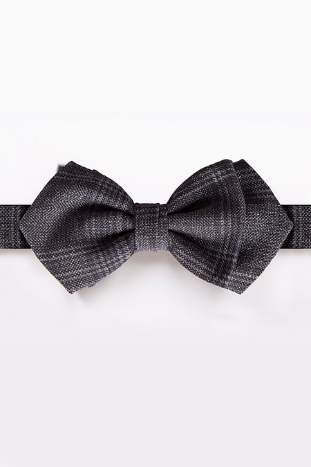 Mucha Salonówka w Kratę