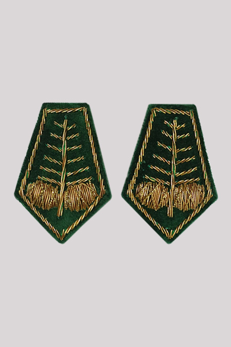 Dystynkcje Złota Jedlina z Szyszkami