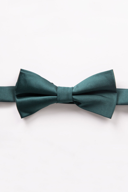 Mucha Zielona Męska