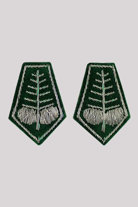 Dystynkcje Srebrna Jedlina z Szyszką