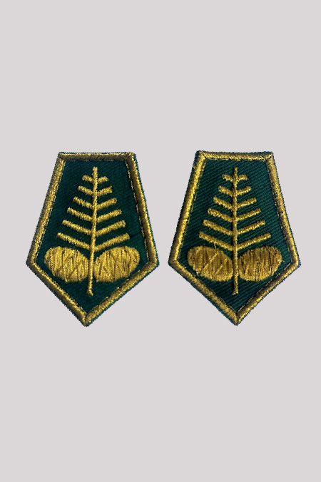 Dystynkcje Myśliwskie Złote z Szyszką Koszulowe